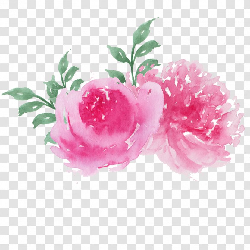 Watercolor Painting Clip Art Image Flowers In Drawing - Garden Roses Transparent PNG