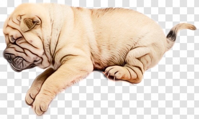 Gun Cartoon - Shar Pei - Bulldog Fawn Transparent PNG