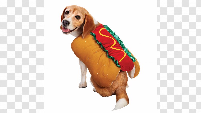 Puppy Dachshund Pet Beagle Hot Dog - Food - Hotdog Transparent PNG