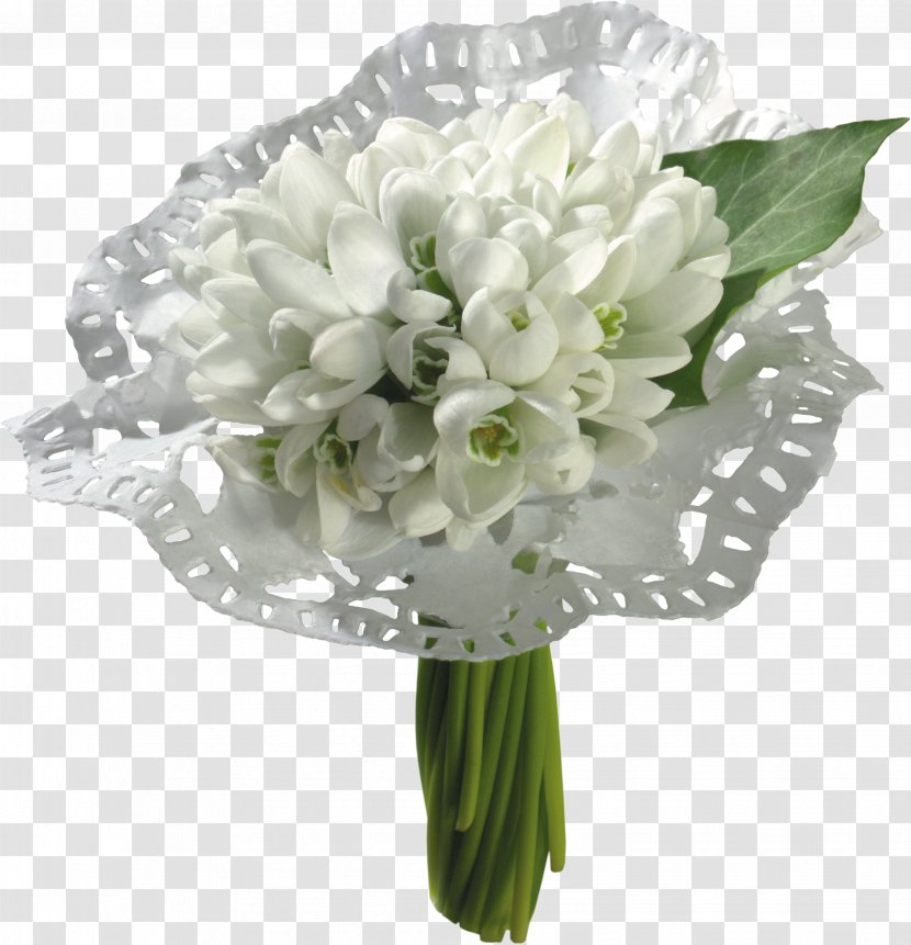 Cape Jasmine Snowdrop Flower Desktop Wallpaper - Floristry Transparent PNG