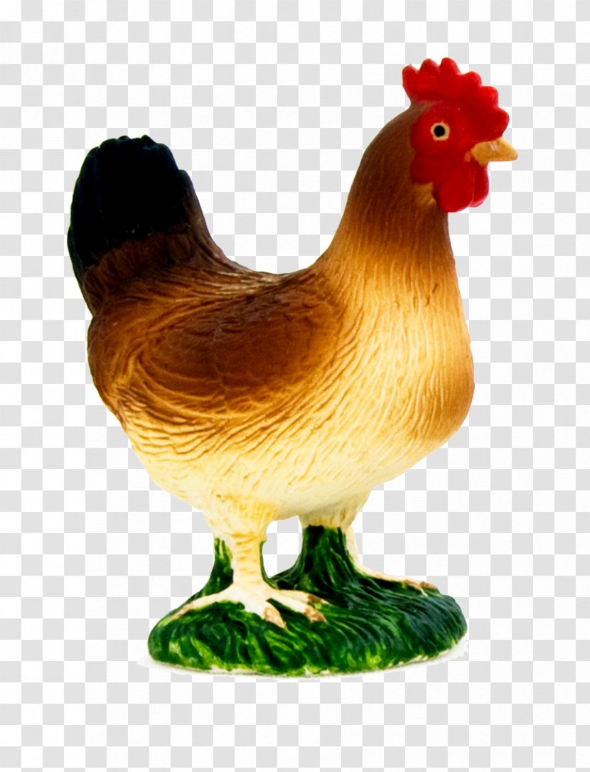 Chicken Rooster Bird Animal Figure Livestock - Beak Poultry Transparent PNG