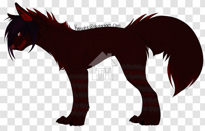Border Collie Mustang Yorkshire Terrier Canidae Red Fox Transparent PNG