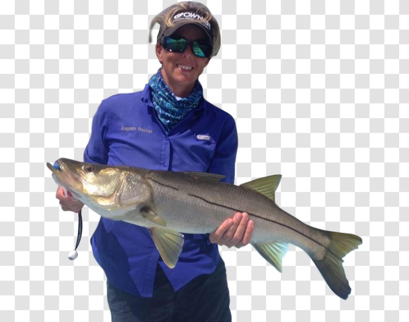 Captain Rachel Fishing Rods Marina Drive Fish Hook - Coho Transparent PNG