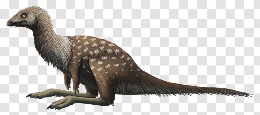 Ornithomimosauria Limusaurus Ceratosaurus Ceratosauria Dinosaur - Organism Transparent PNG