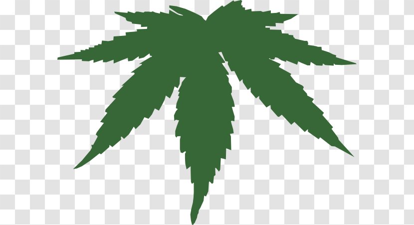 Hash, Marihuana & Hemp Museum Medical Cannabis Clip Art - Drug - Buckeye Leaf Cliparts Transparent PNG