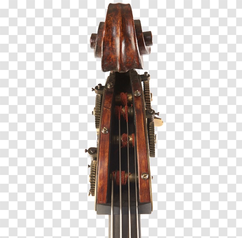 Bass Violin Double Violone Viola Cello - Family Transparent PNG