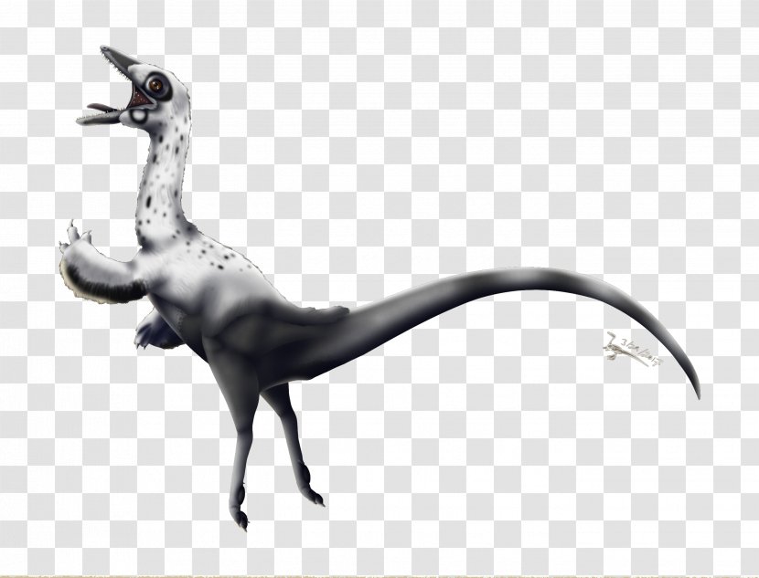 Compsognathus Dinosaur Velociraptor Bird Science - Foot - Poster Transparent PNG