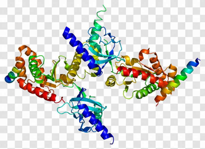 Voltage-gated Calcium Channel Protein CACNB3 Gene Ion - Watercolor - Repolarization Transparent PNG