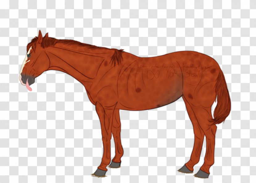 The Russian Linesman: Frontiers, Borders And Thresholds Pony Mark Wallinger: Linesman By Wallinger Artist Mustang - Horse Harness - Chestnut Thoroughbred Transparent PNG