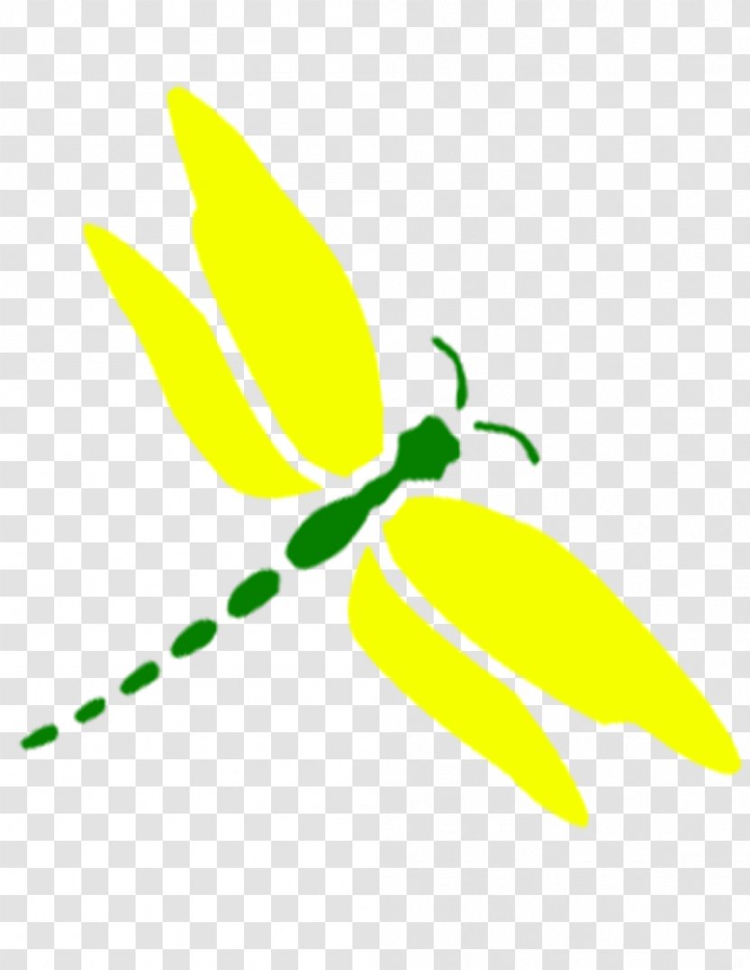 Plant Stem Leaf Flowering - Organism - Dragonfly Transparent PNG