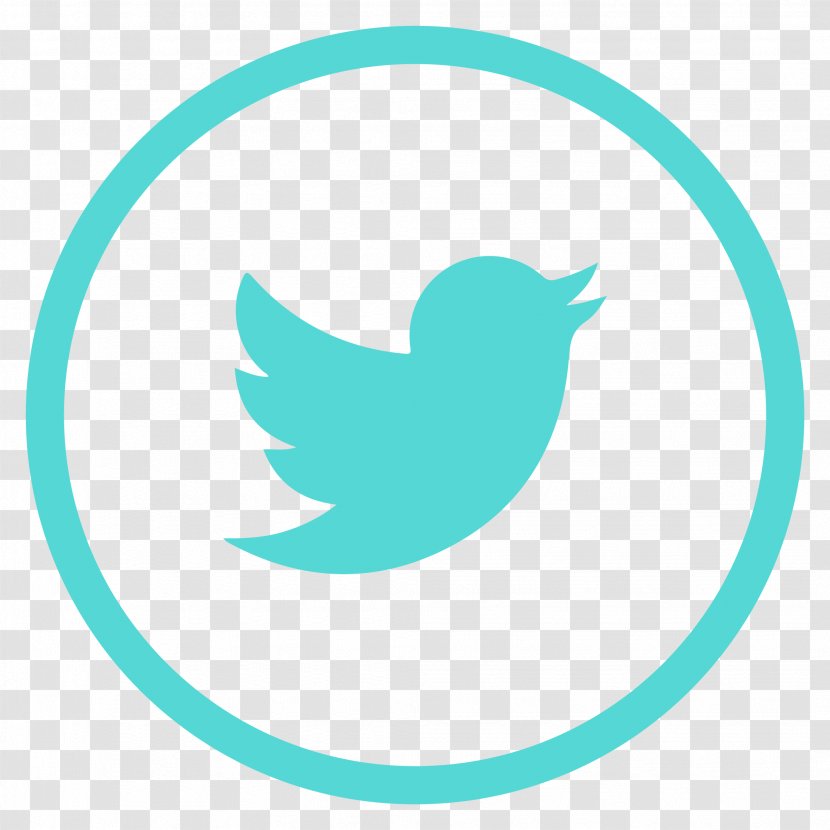 Logo Brand - Bird - Social Media Transparent PNG