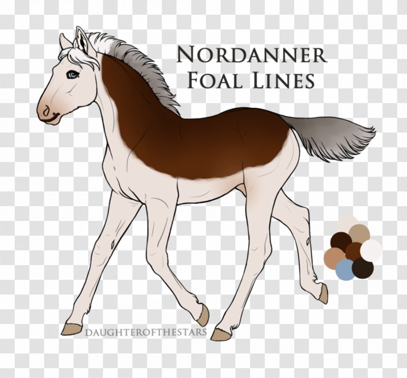 Pony Foal Mare Stallion Colt - Bay - Mustang Transparent PNG