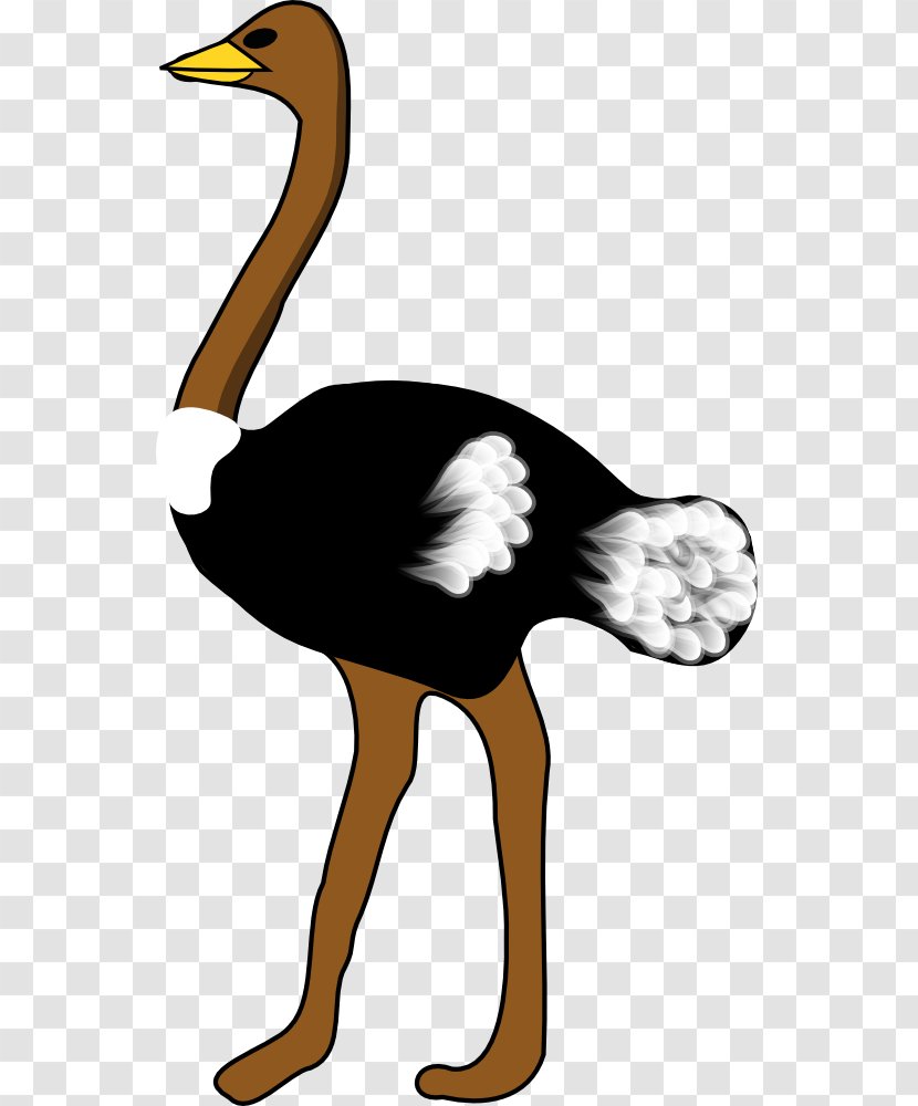 Common Ostrich Bird Free Content Clip Art - Beak - Australian Animals Clipart Transparent PNG