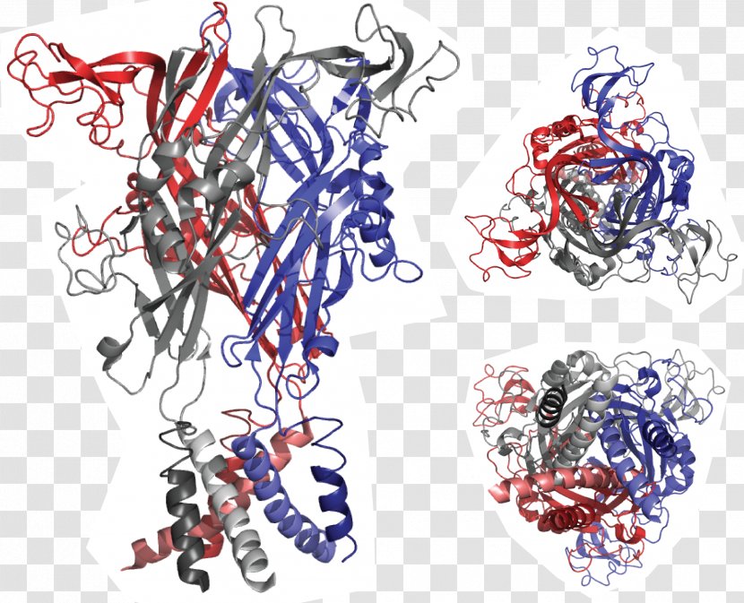 P2X Purinoreceptor Ligand-gated Ion Channel P2RX7 Purinergic Receptor - Crystal Structure - Adenosine Triphosphate Transparent PNG