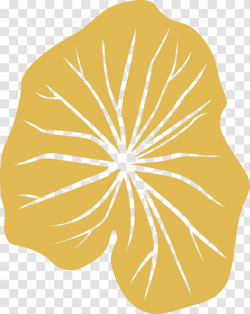 Leaf Transparent PNG