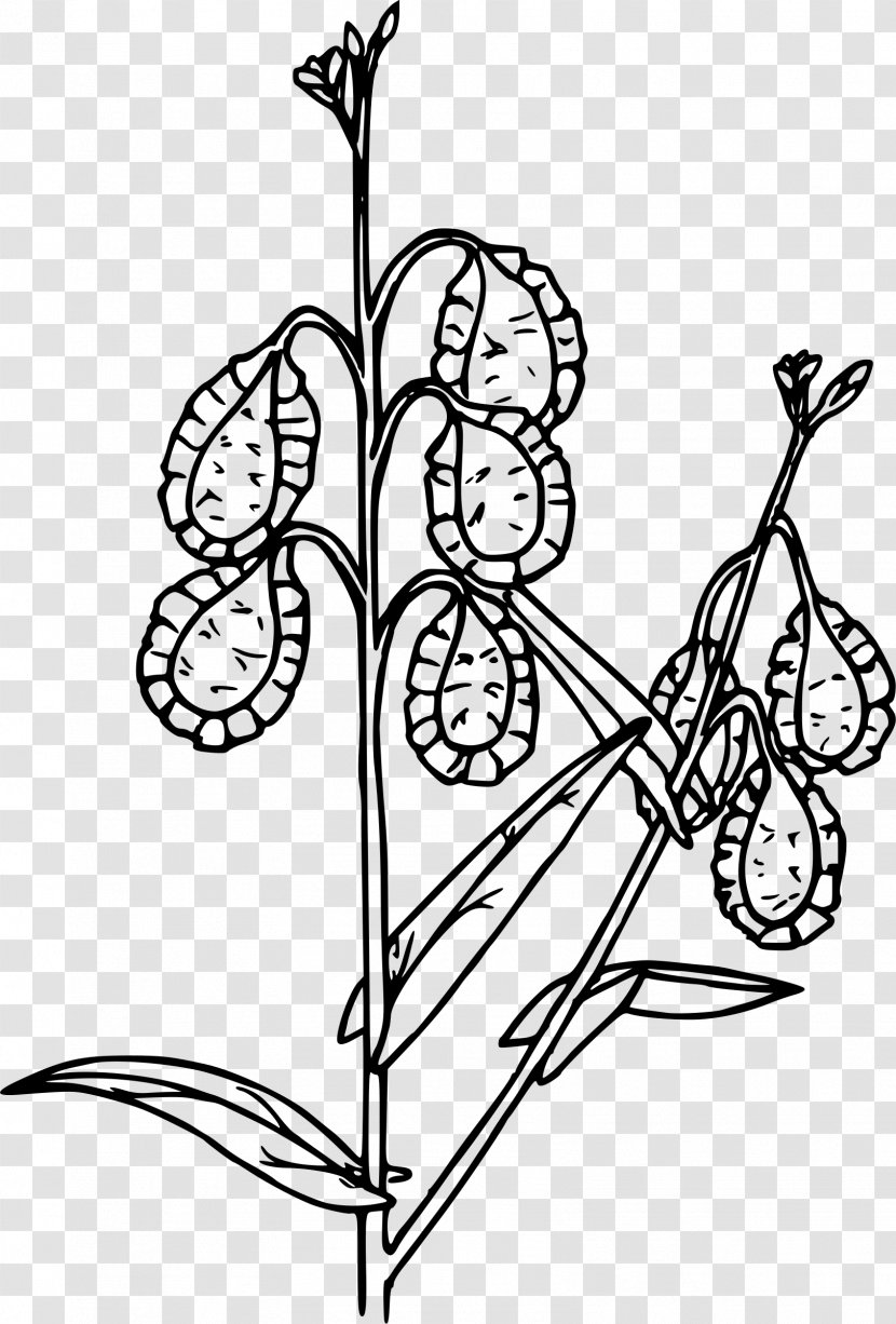 Clip Art - Plant - Stem Transparent PNG