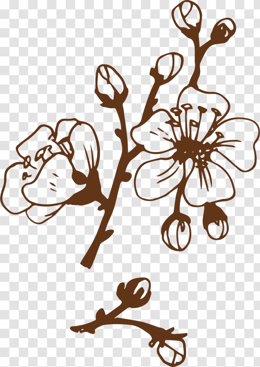 Cherry Blossom - Branch - Hand Painted Petals Picture Transparent PNG