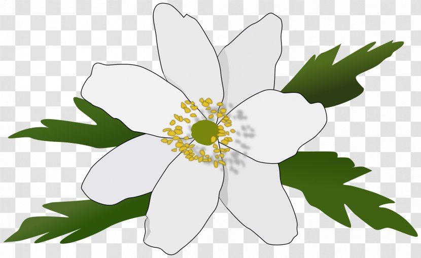 Raseborg Anemone Nemorosa - Artwork - Dots Per Inch Transparent PNG