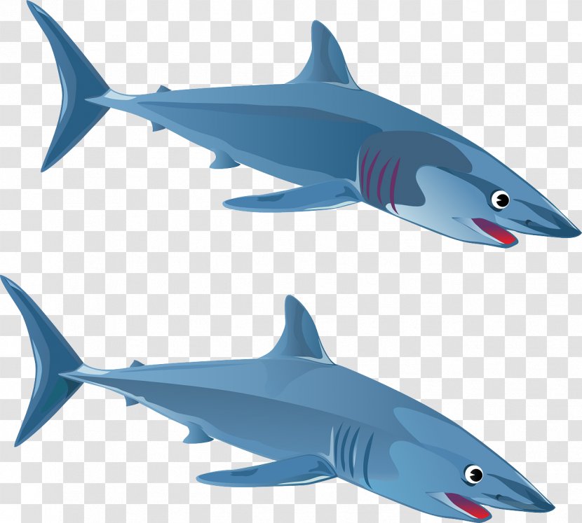 Great White Shark Blue Clip Art - Squaliformes - Predator Transparent PNG