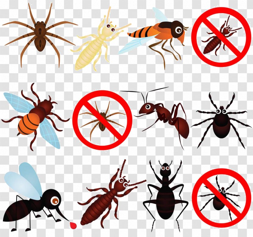 Insect Mosquito Cockroach Pest Control - Arthropod - Cartoon Material Transparent PNG