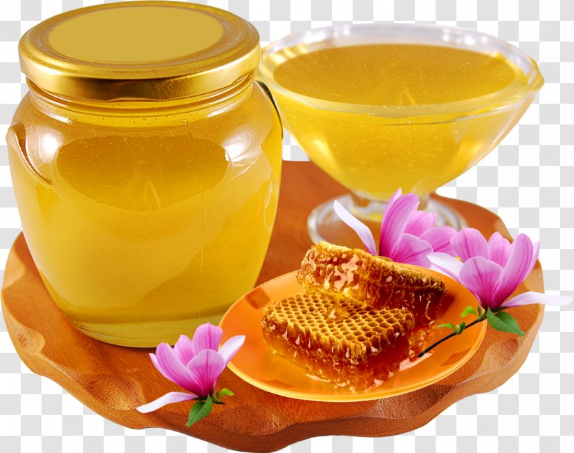 Bee Honeycomb Savior Of The Honey Feast Day - Photography Transparent PNG
