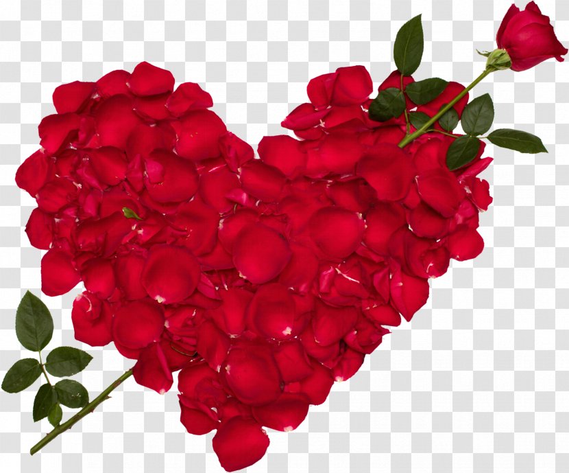 Blue Rose Love Flower Desktop Wallpaper - Valentine S Day - Good Evening Transparent PNG