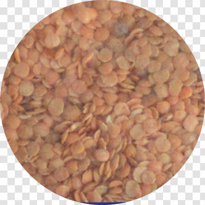 Mixture Ingredient Commodity - Dal Transparent PNG