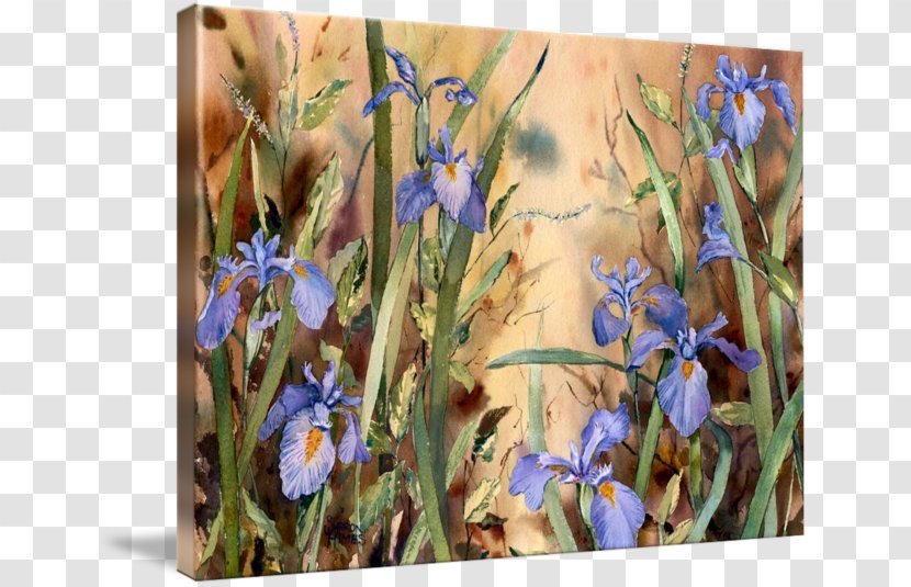 Painting Wildflower Lavender - Bellflower Family Transparent PNG