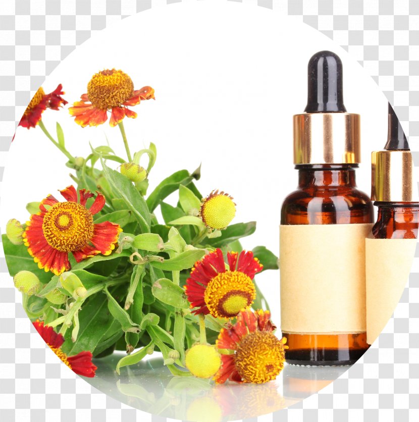 Bach Flower Remedies Therapy Homeopathy Apotheke Am Zoo Health - Magnet Transparent PNG