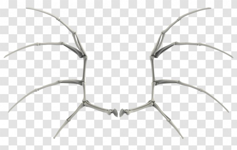 Bone Bat Wing Development - Body Jewellery - Structural Drawing Transparent PNG