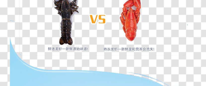 Homarus Seafood Lagosta Red Lobster - Shoe - VS Figure Transparent PNG