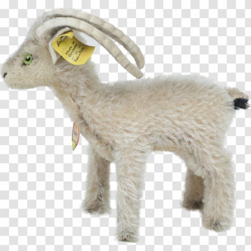 Sheep Goat Fur Terrestrial Animal Snout Transparent PNG