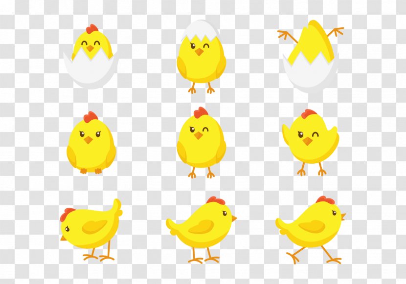 Chicken Bird Yellow - Animal Figure - Chick Transparent PNG
