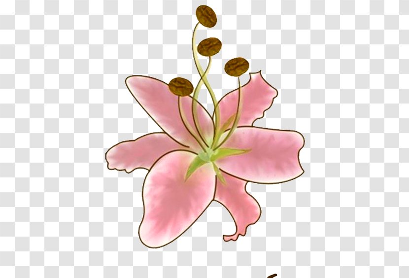 Flower Lilium Gratis - Flora - Hand-painted Lily Flowers Transparent PNG