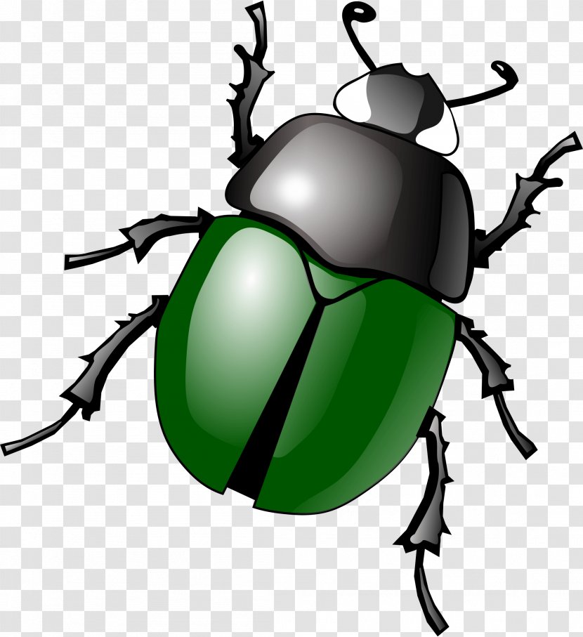 Beetle Clip Art - Bug Image Transparent PNG