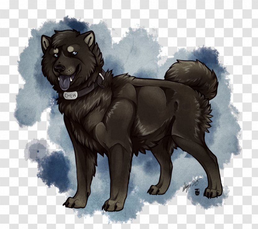 Black Norwegian Elkhound Eurasier Greenland Dog Schipperke - Puppy Transparent PNG