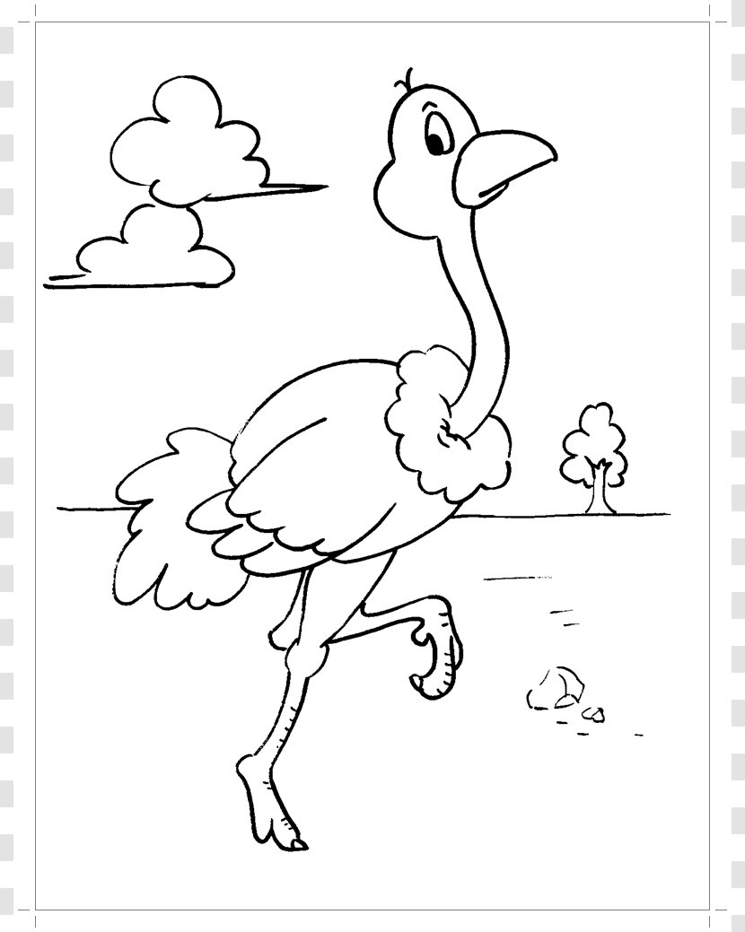 Bird Common Ostrich Coloring Book Parrot Ausmalbild - Wing Transparent PNG
