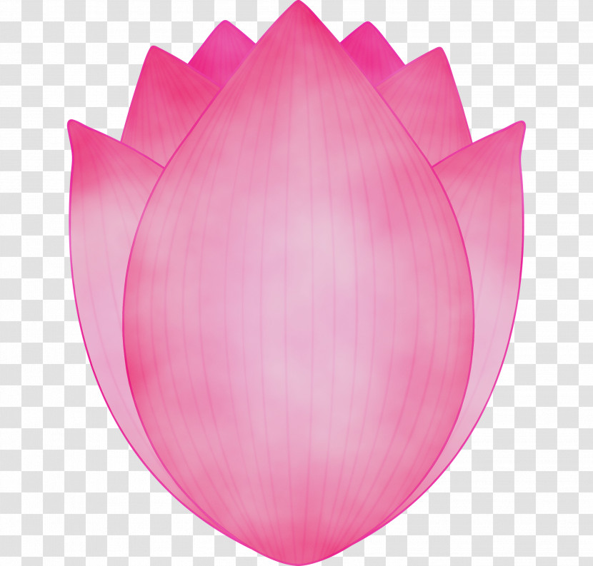 Pink Petal Tulip Magenta Plant Transparent PNG