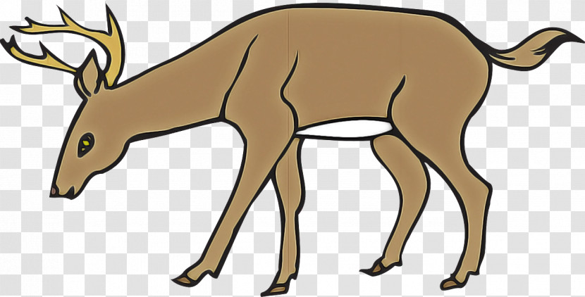 Wildlife Antelope Deer Roe Deer Chamois Transparent PNG
