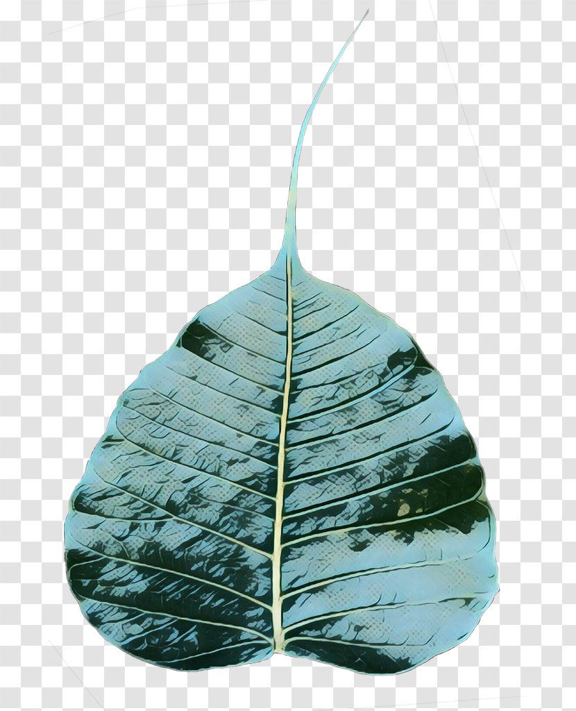 Leaf - Turquoise - Plant Transparent PNG