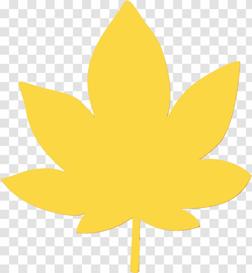 Maple Leaf - Tree - Sunflower Transparent PNG