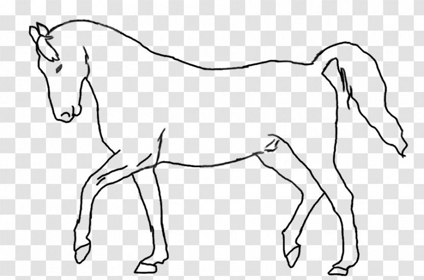 Mane Mule Foal Stallion Colt - Tree - Mustang Transparent PNG