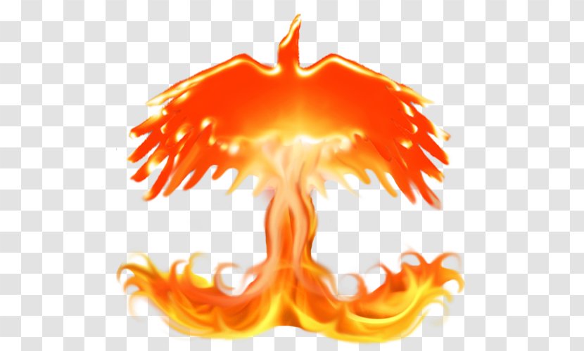 Fire Flame Logo Wiki - Hawk Transparent PNG
