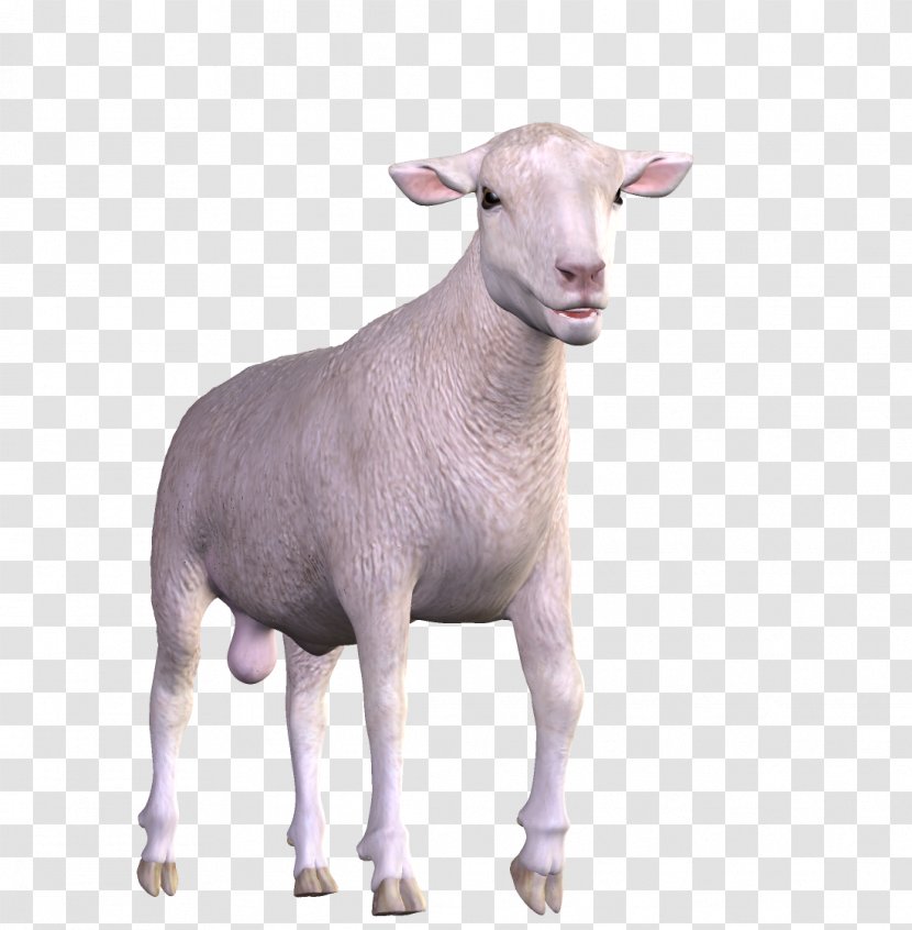 Goat Animal Easter - Horn Transparent PNG