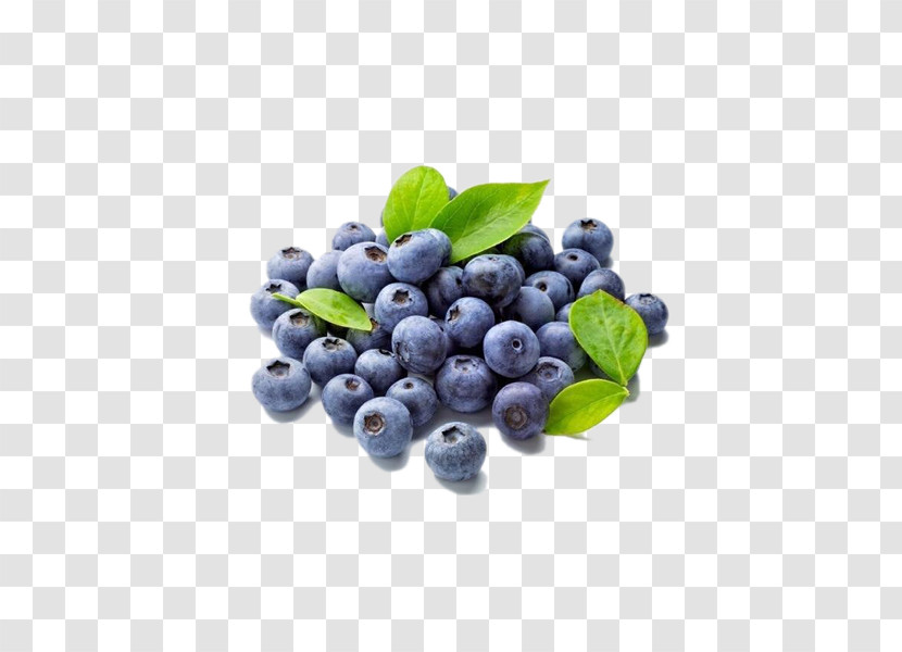 Berry Bilberry Fruit Food Blueberry Transparent PNG