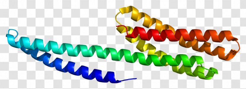 Catenin Alpha-1 Alpha Beta-catenin Protein - Silhouette - Tree Transparent PNG