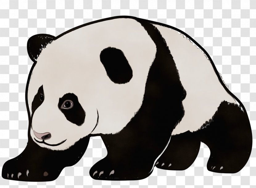 Panda - Cartoon - Wildlife Transparent PNG