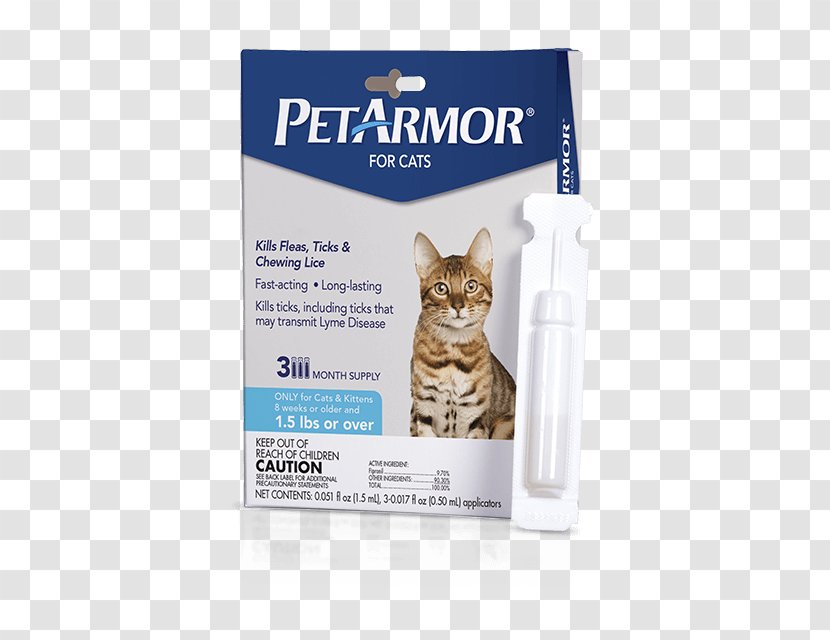 Kitten Cat Dog Flea Louse Transparent PNG