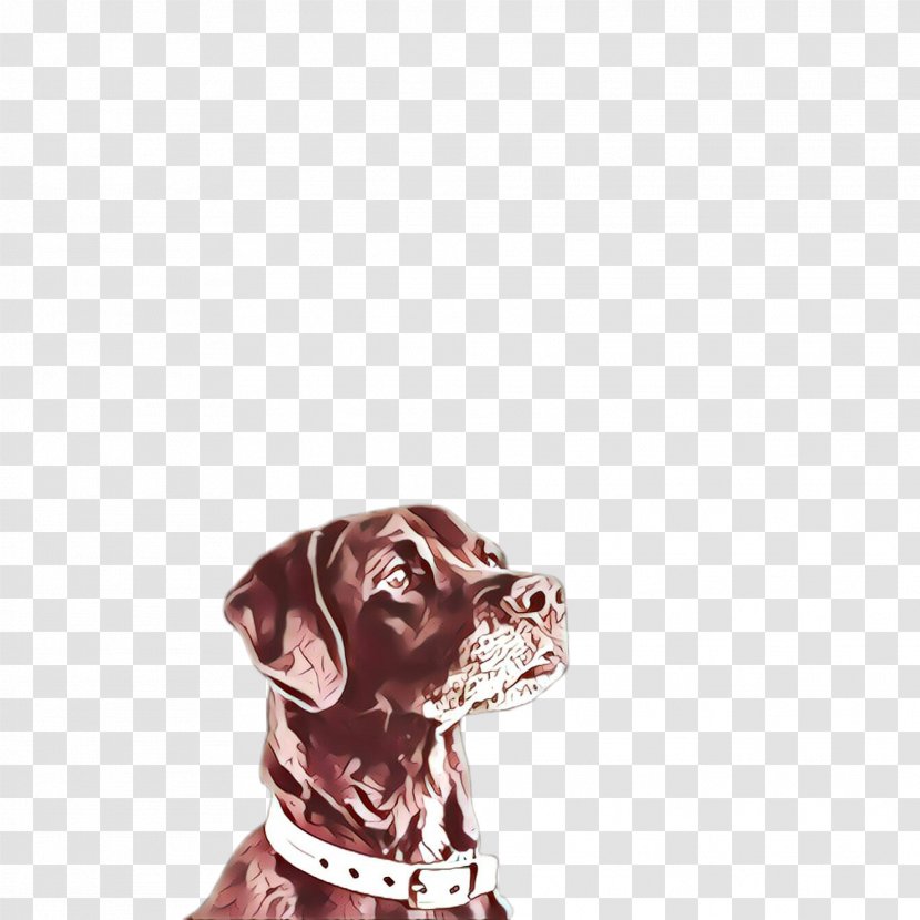 Dog Labrador Retriever Collar Sporting Group Pointing Breed - Pointer Transparent PNG