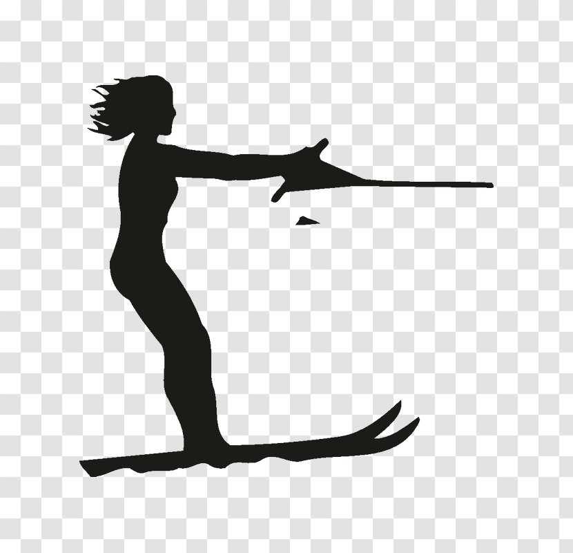 Water Skiing Sport Going Skiing! - Ski Transparent PNG